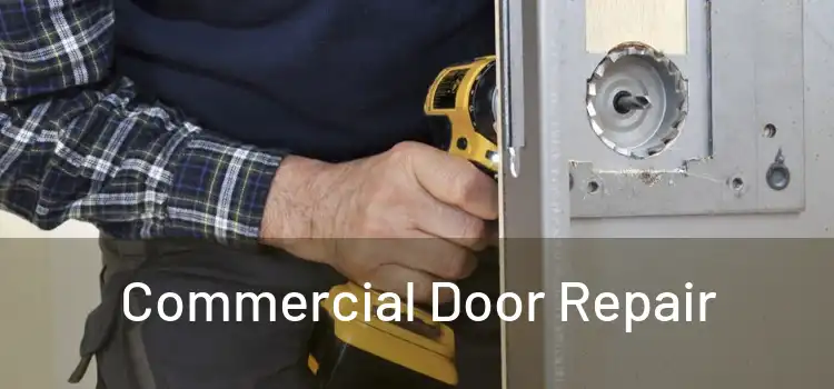 Commercial Door Repair